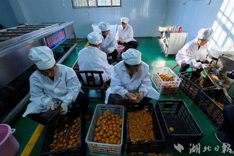 诚意先行，共赴鸿鹄之约——记武汉小航鸿鹄网络科技董事长方航的一天